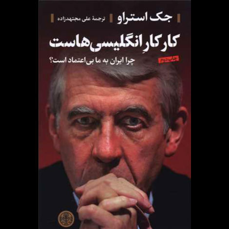 قیمت و خرید کتاب کار کار انگلیسی هاست - چرا ایران به ما بی اعتماد است؟