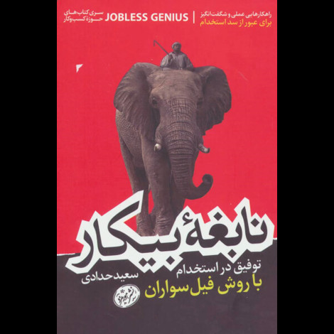 قیمت و خرید کتاب نابغه بیکار با روش فیل سواران