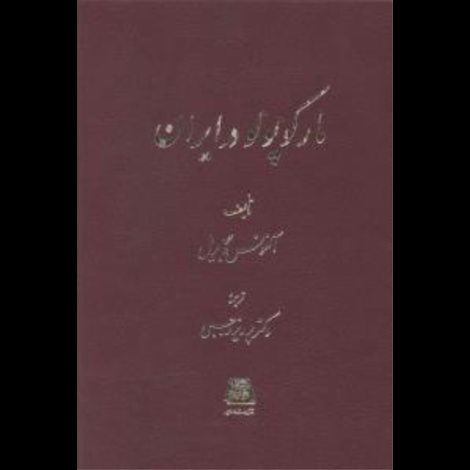 قیمت و خرید کتاب مارکوپولو در ایران - گالینگور - اساطیر